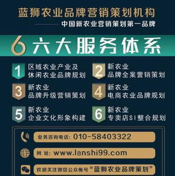 數字田野的耕耘之道 藍獅策劃互聯網+農業市場的營銷策略解析